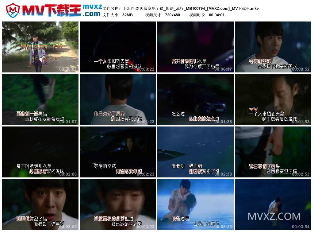 于金胜-别因寂寞犯了错_国语_流行_MB100794